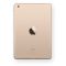 Apple -MH3G2LL/A 16GB iPad mini 3