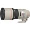 Canon EF 300mm f/4L IS USM Lens