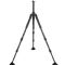 Vanguard Auctus 283CT Carbon Fiber Tripod (Legs Only)