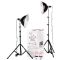 Smith-Victor KT1000U 2-Light 1000 Watt With Umbrella Kit