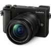 Panasonic Lumix DC-GX9 Digital Camera with 12-60mm Lens (Black)