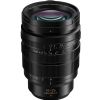 Panasonic Leica DG Vario-Summilux 10-25mm f/1.7 ASPH. Lens