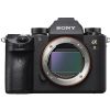 Sony Alpha a9 Mirrorless Digital Camera USA